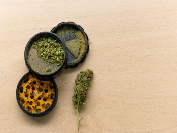 Who Has the Best Dispensary Near Me by Taylor, MI?