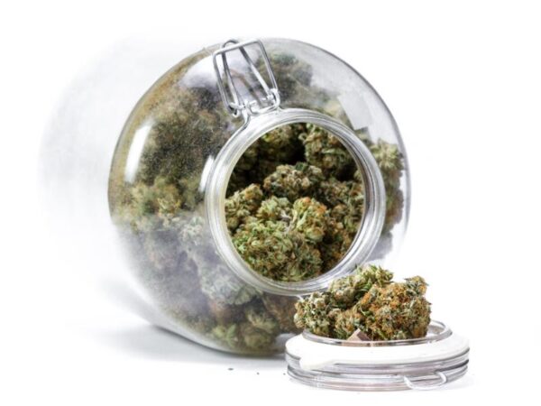 Where Can I Find the Cannabis Products That Fit My Goals?